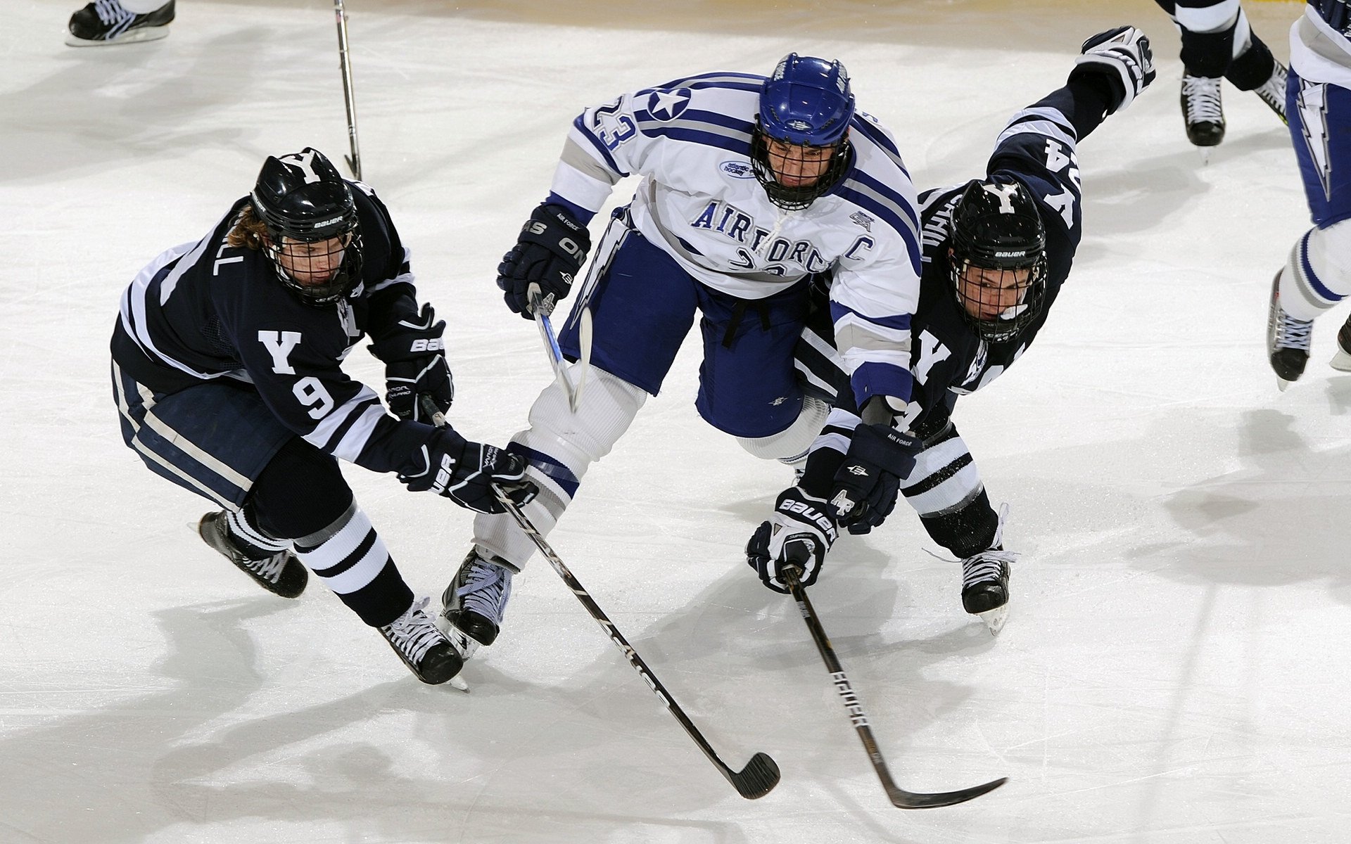 “国家队集训营：锻造战斗力，迎接大赛”，国家队训练营